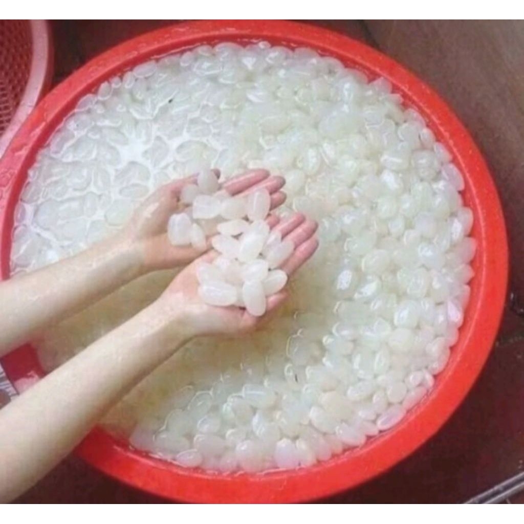 

KOLANG KALING SUPER FRESH 1 KG