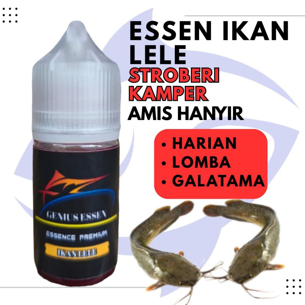 ESSEN IKAN LELE AROMA STROBERI KAMPER  essen ikan lele harian essen ikan lele lomba essen ikan lele 