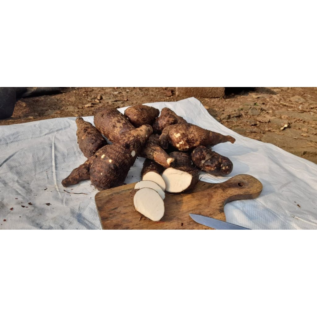 

Talas / Mboten / Enthek / Polo Pendem 1 Kg