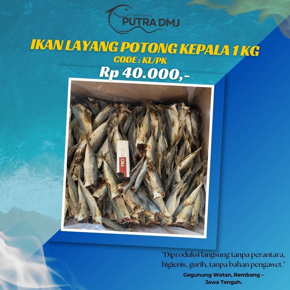 

Ikan Asin Peda Klotok Layang Potong Kepala 1 Kg – Gurih, Higienis, dan Termurah