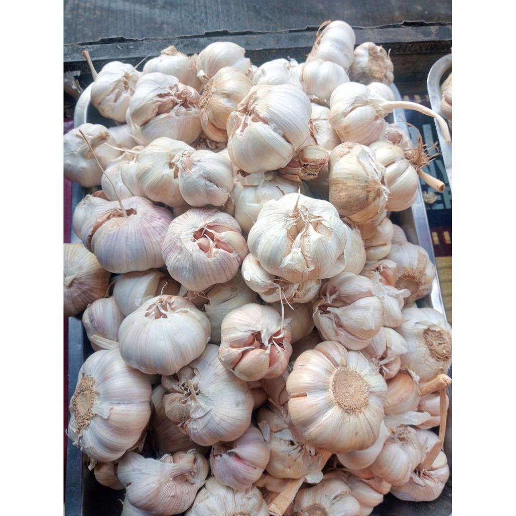 

Bawang Putih Biasa 1 Kg – Siung Campur dan Bersih | Rumsmart