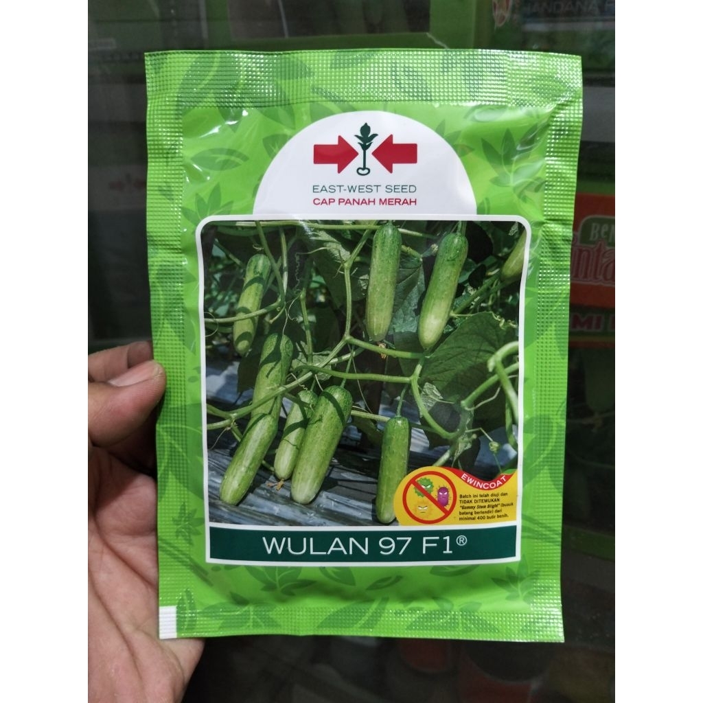 Benih Timun Wulan 97 F1 Cap Panah Merah