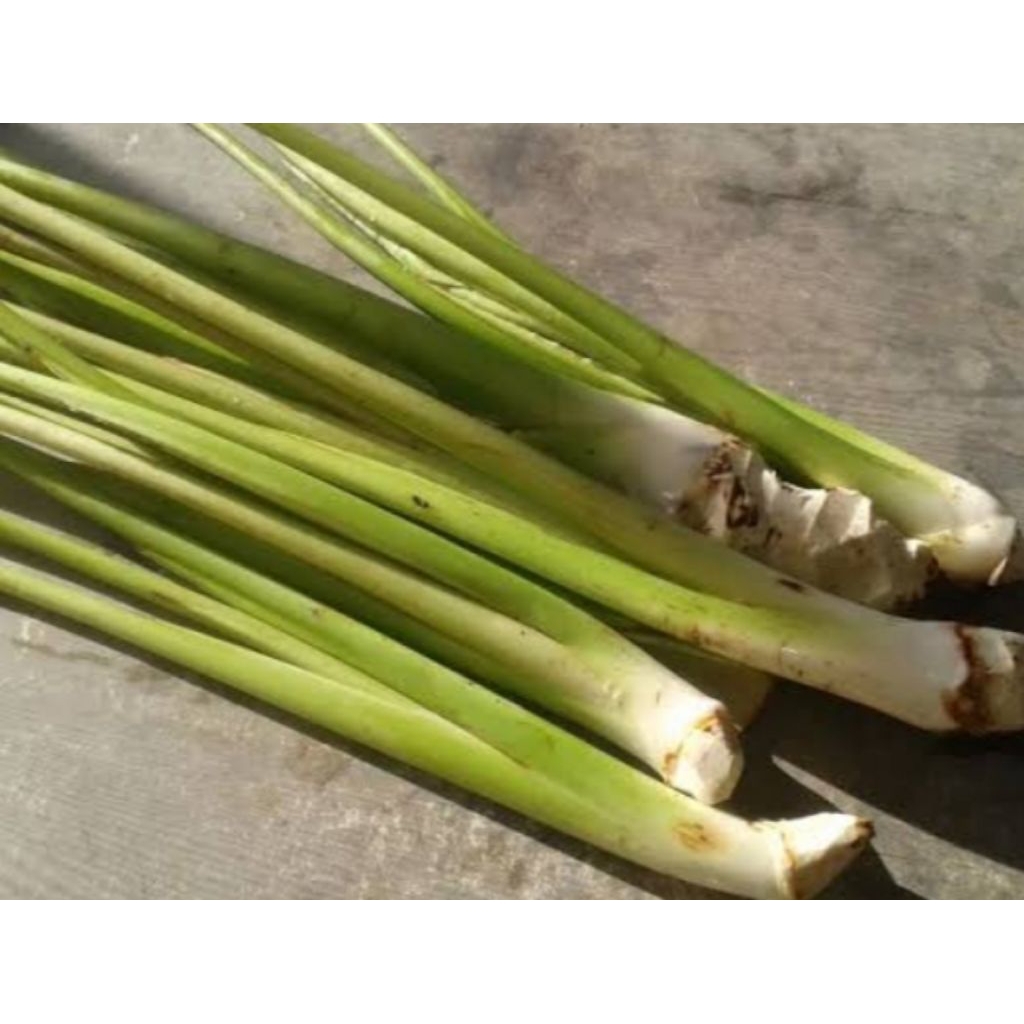 

batang talas sayur/lompong 4 pcs