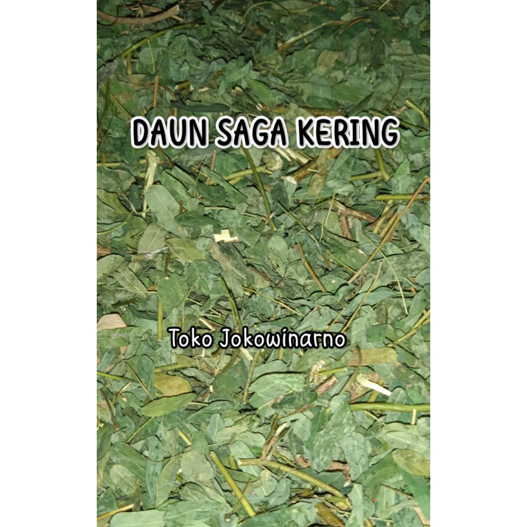 DAUN SAGA KERING isi 250gr / DAUN SOGO / SAGA RAMBAT