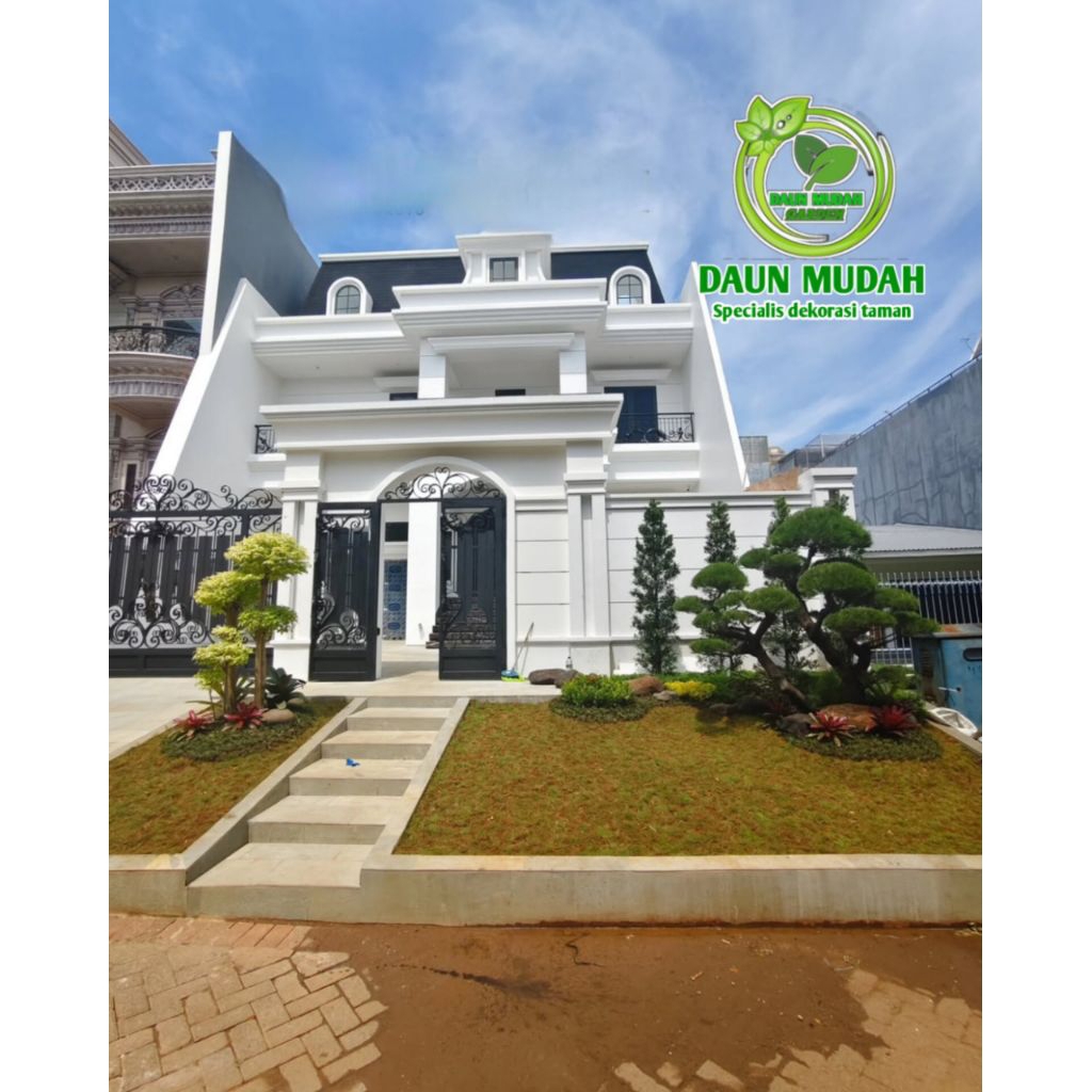 taman bonsai / taman rumput / bonsai cemara udang