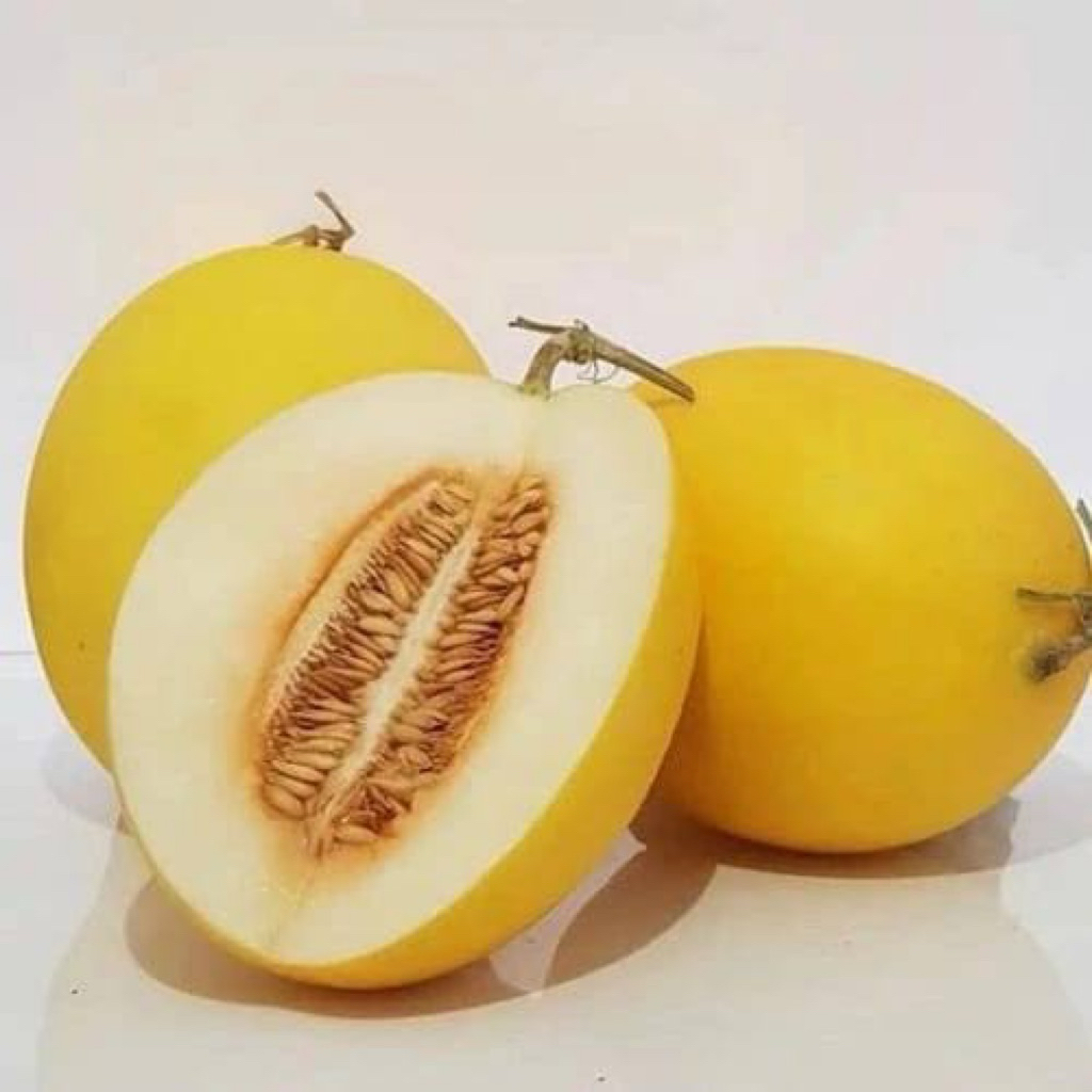

Melon Golden 1 Pcs