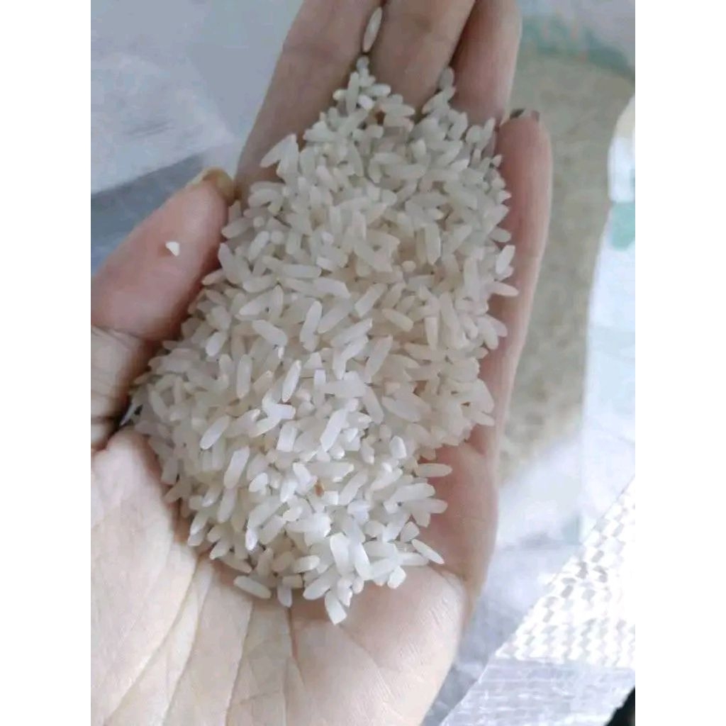 

BERAS PULEN SELEPAN SENDIRI HARGA UNTUK 1KG