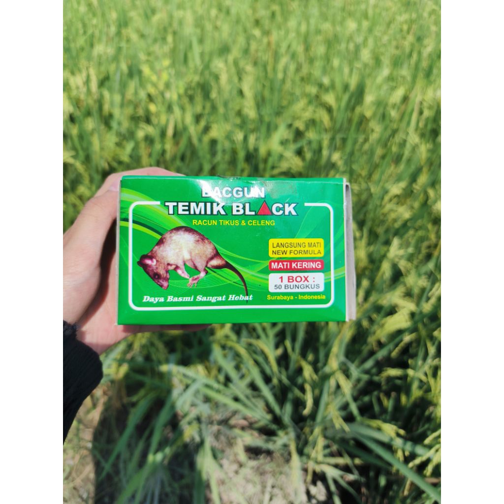 temik racun tikus bacgun sangat ampuh mati kering