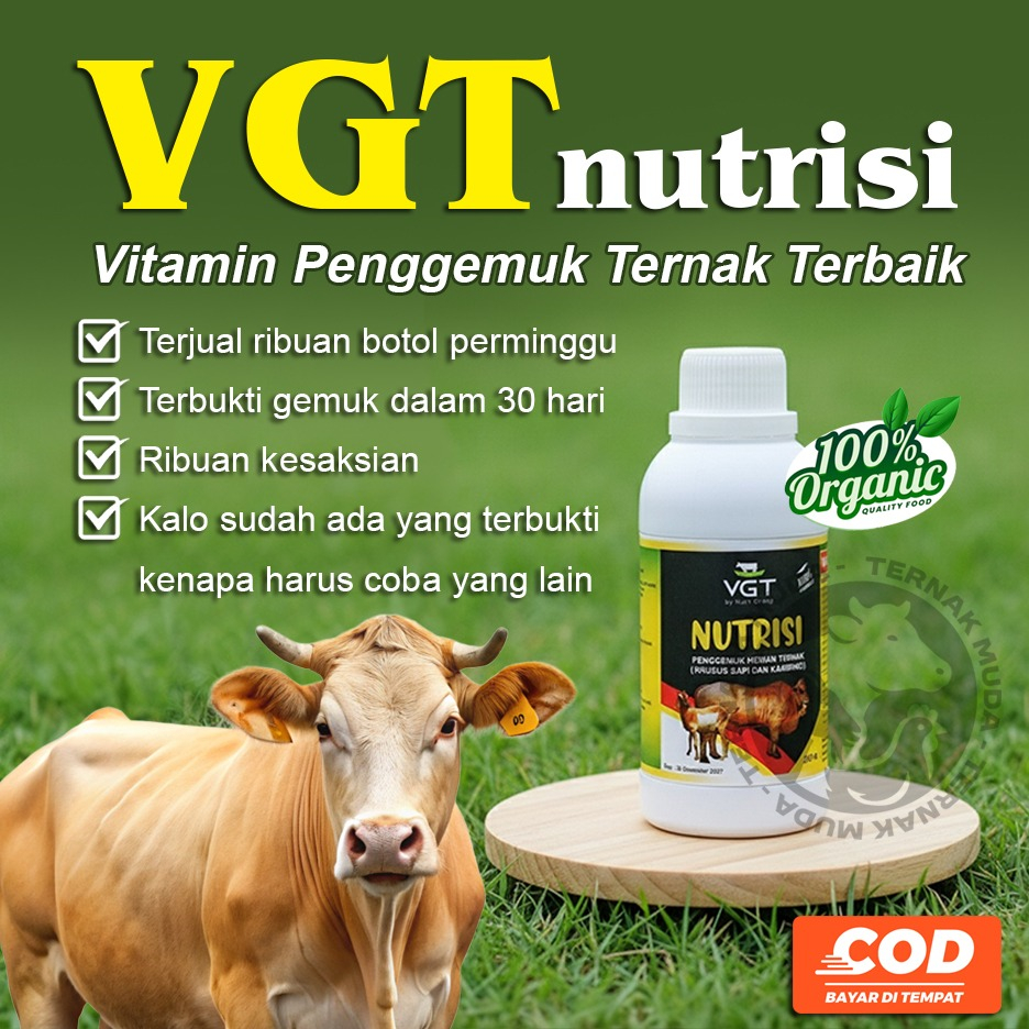 VGT Nutrisi Kambing Domba Sapi - Penggemuk Ternak Asupan Vitamin Hewan