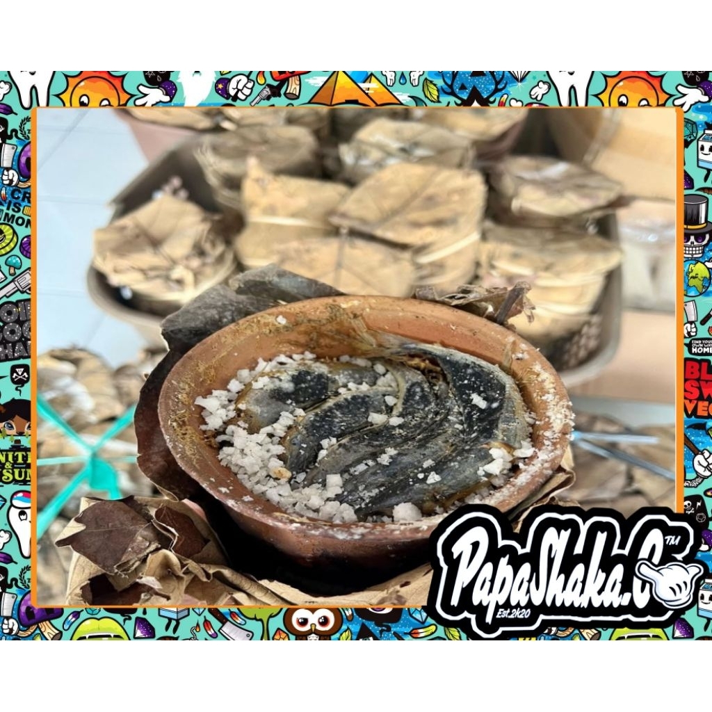 Ikan pindang kendil khas tuban tanpa pengawet