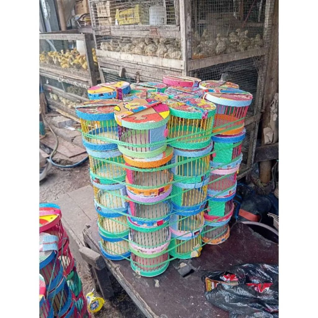 KANDANG AYAM WARNA WARNI - KANDANG BURUNG EMPRIT - SANGKAR AYAM PELANGI