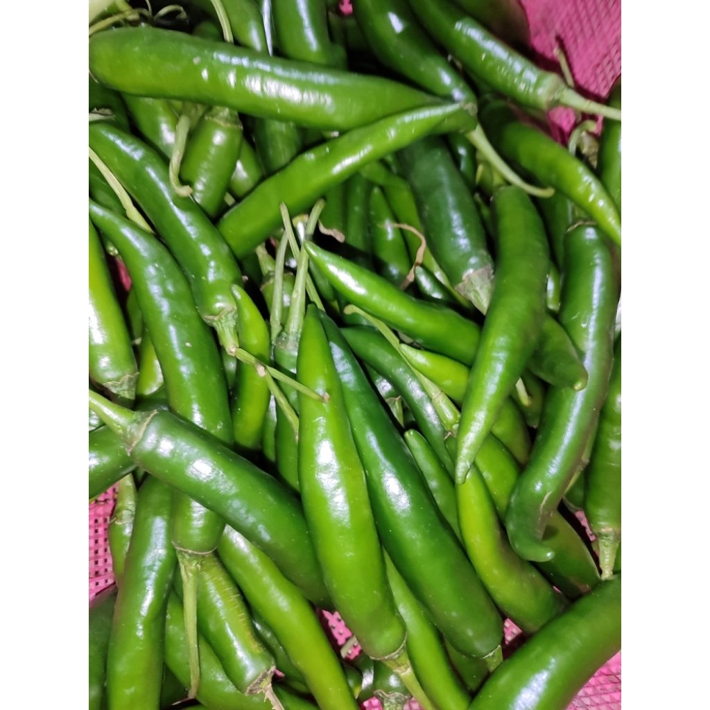 

CABE HIJAU BESAR 100g