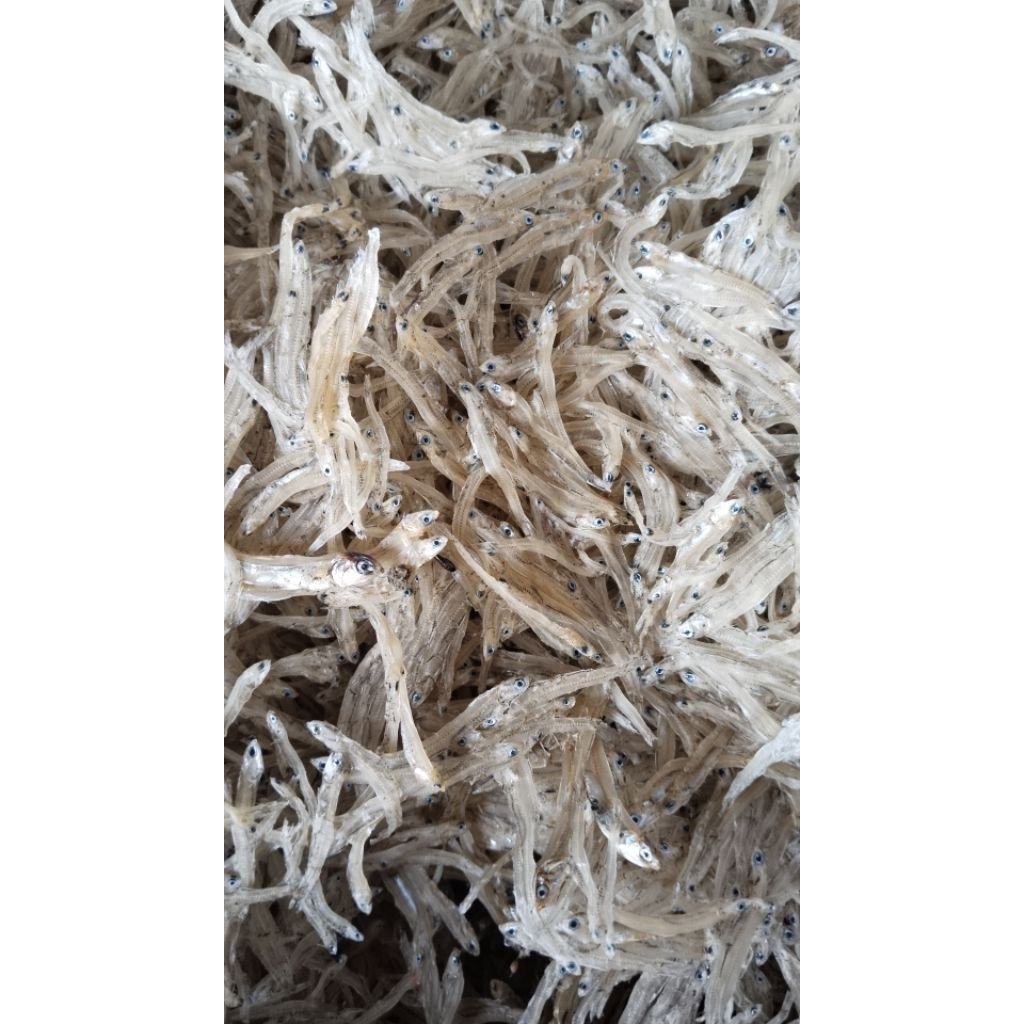 

Ikan Teri Penjang, Tanpa Pengawet