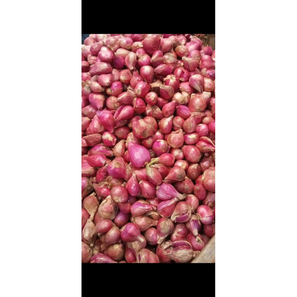 

BAWANG MERAH SUPER BESAR 500gr