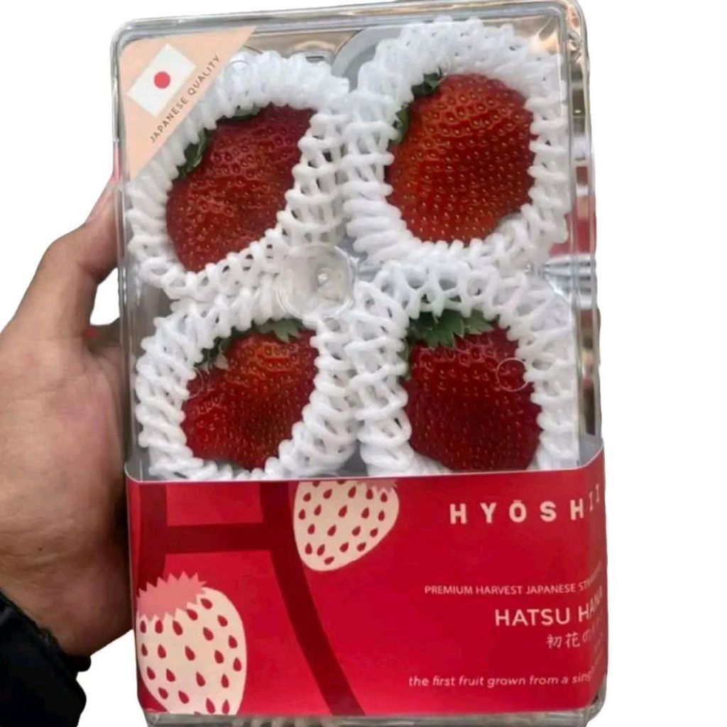 

Buah strawberry hiyoshi hatsu hana strawberry jepang quality 1 pack