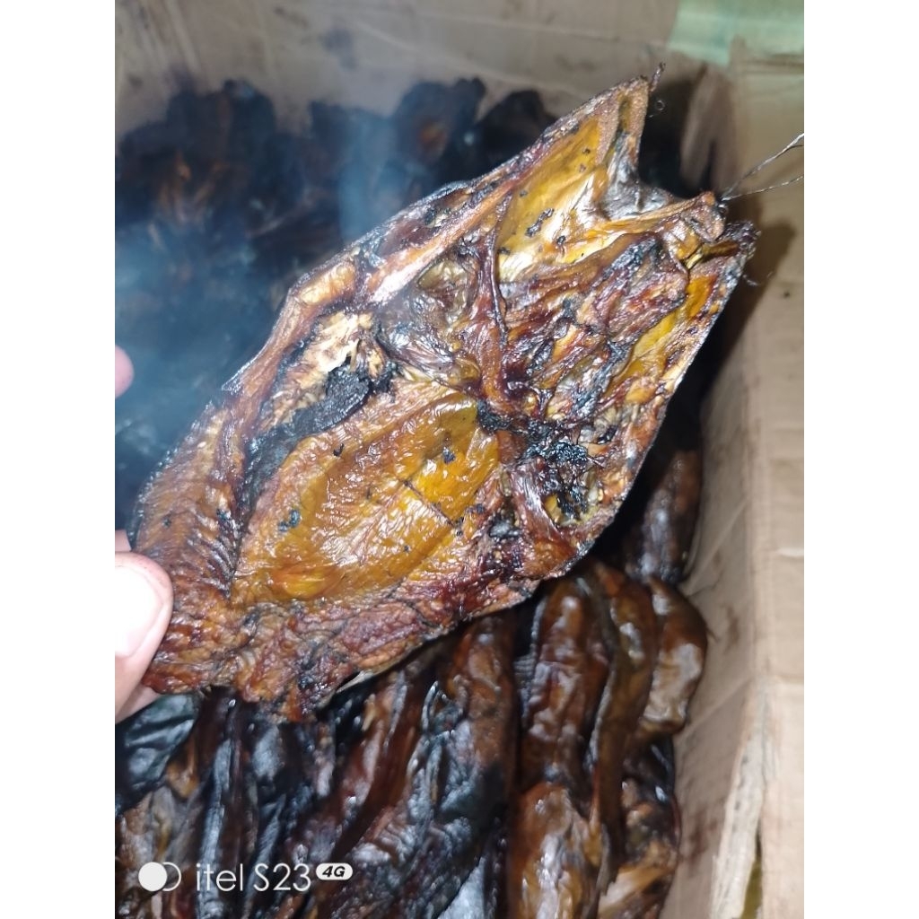 

Ikan Salai Lele kering Berkualitas