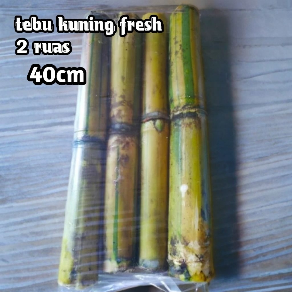 

Tebu Kuning Fresh 2 ruas / 40 cm / Bisa untuk Bibit