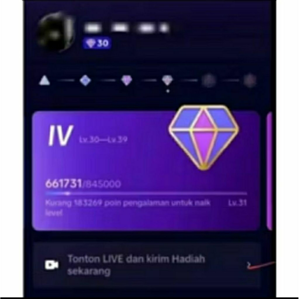 tiktok level 30 spender bergaransi