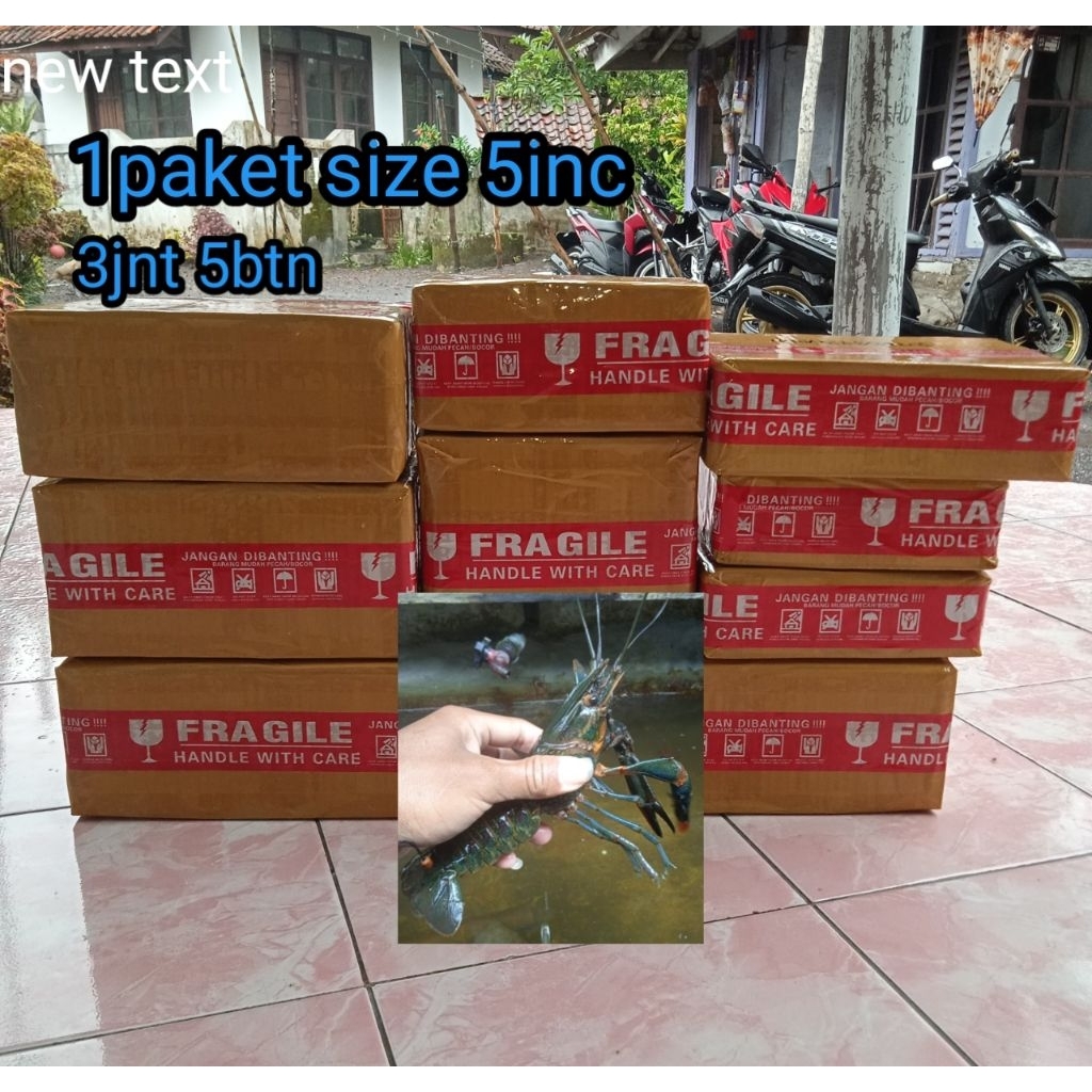 

Box isi spsang size 5inchi