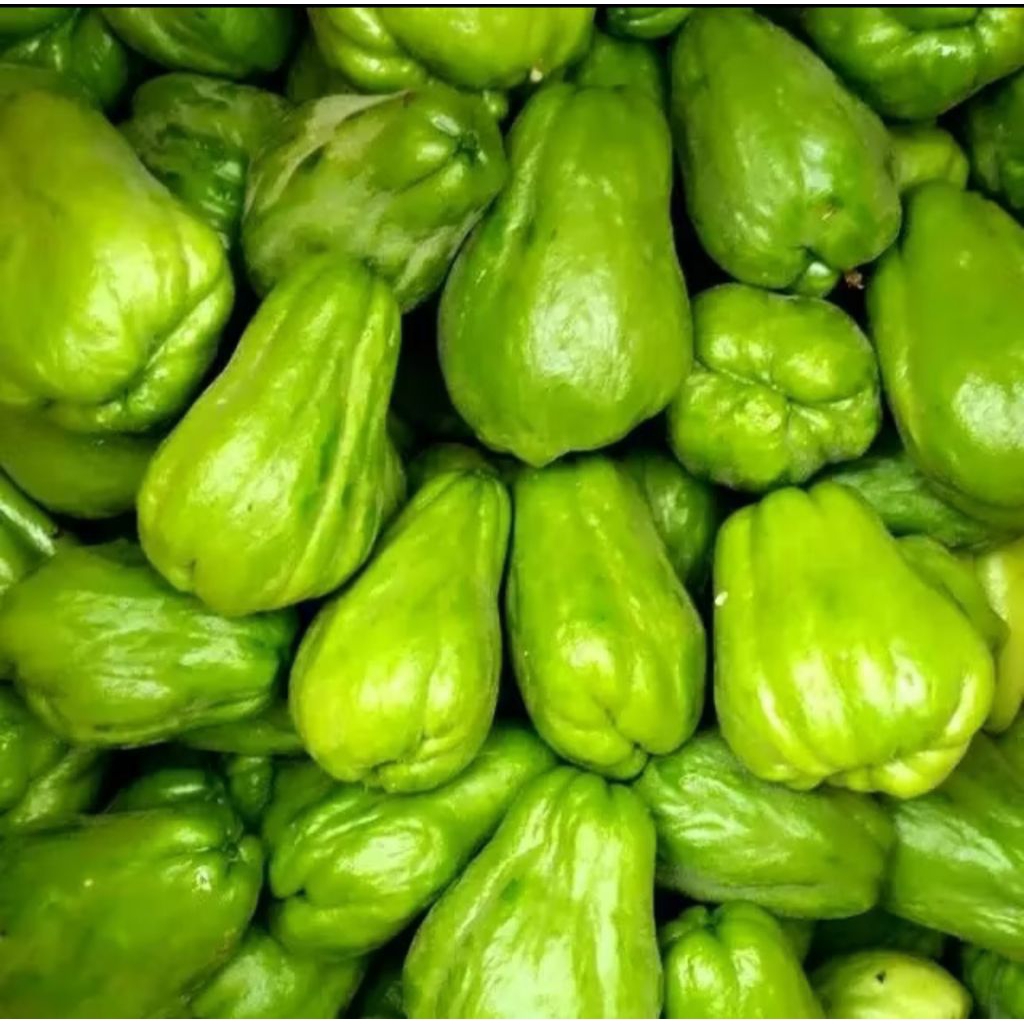 

LABU SIAM MINI 1KG READY SAMARINDA