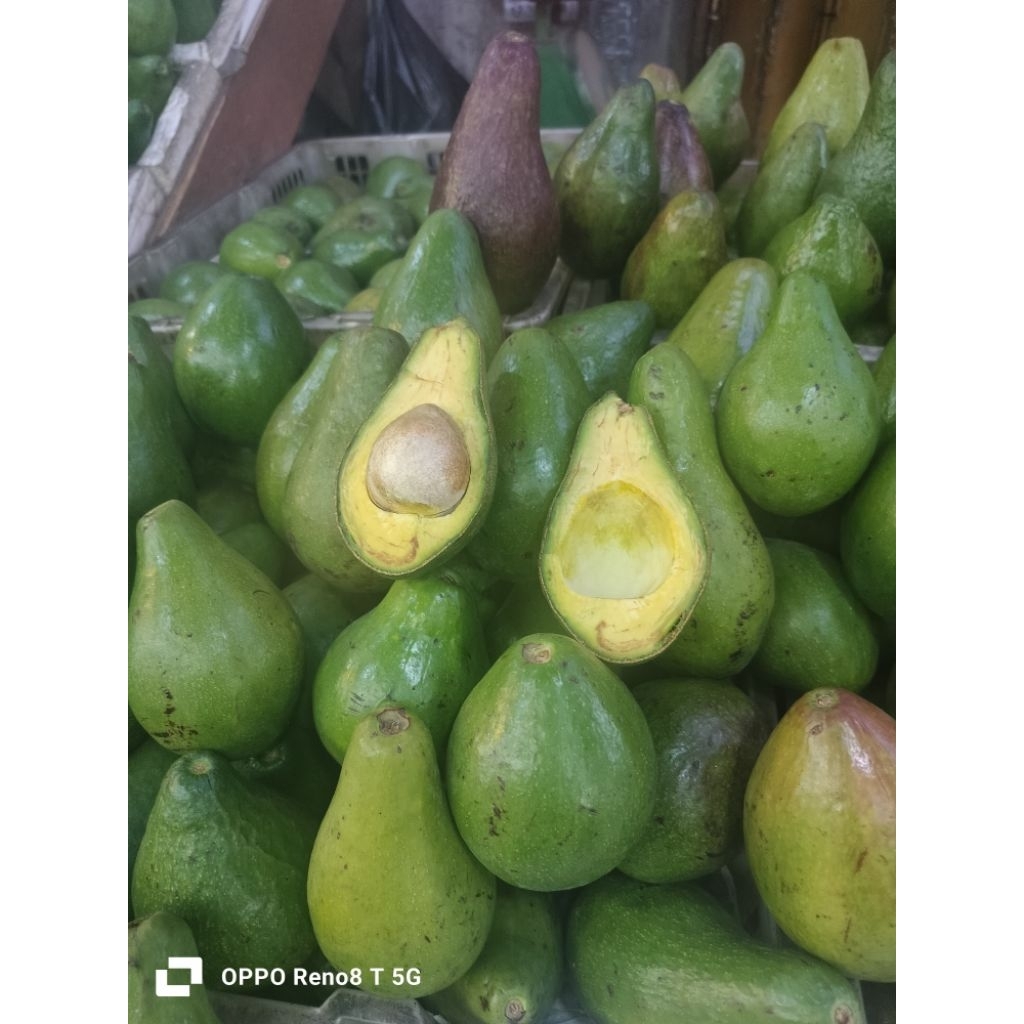 

alpukat mentega 1 kg