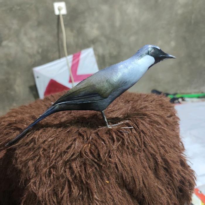 Jontrot boneka mainan burung poksay hongkong/ patung manuk kicau poksay mirip asli