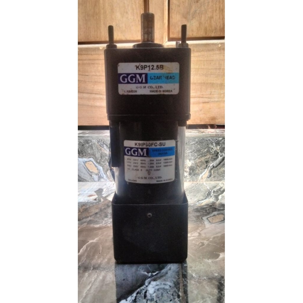 Dinamo gearbox GGM 220V - 90W Ratio 1 : 12,5