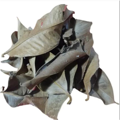 

250 Gram Daun Manggis Kering/ 100 Gram Daun Manggu Kering Alami