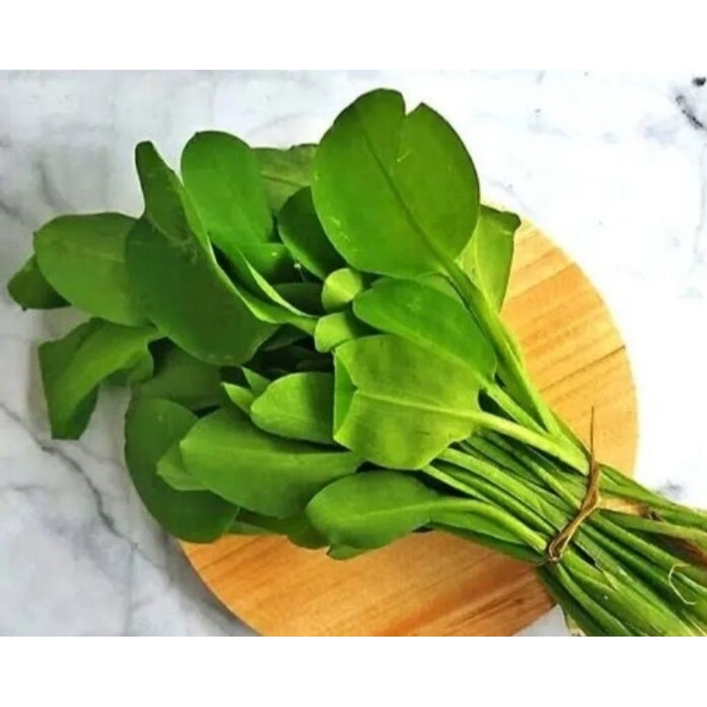

Terlaris Daun Genjer/gendot Sayur Murah
