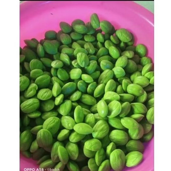 

Petai Pete Kupas 1kg Anti Ulat