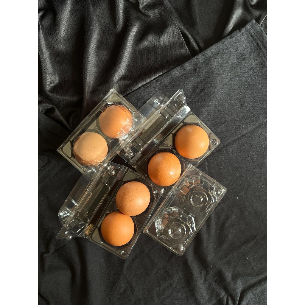 

Mika Tray Telur Ayam Isi 2 Murah Berkualitas Dengan Kancing