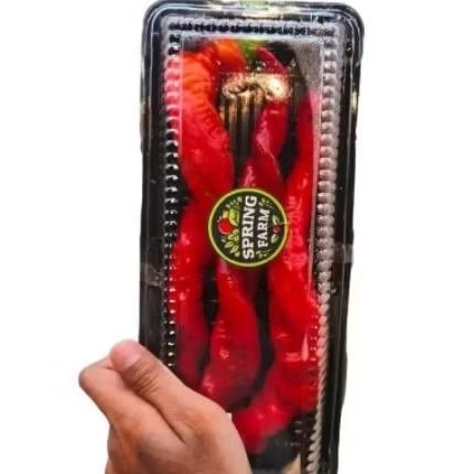 

Cabai shisito jumbo merah red spirall pepper gift pack-+300gram