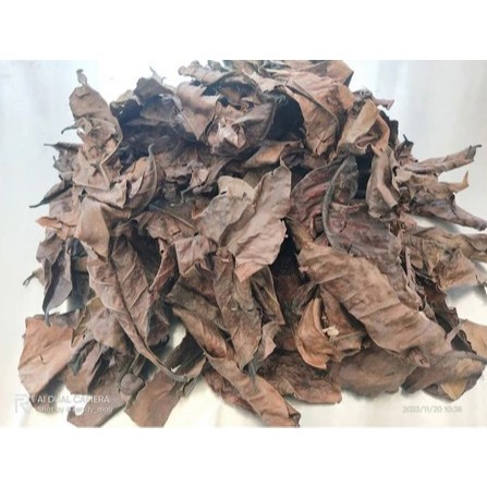

250 gram Daun Kopi Kering/ 100 gram Daun Kopi Kering Organik