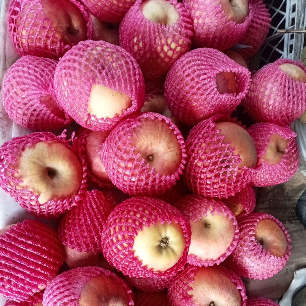 

Apel fuji 1 kg