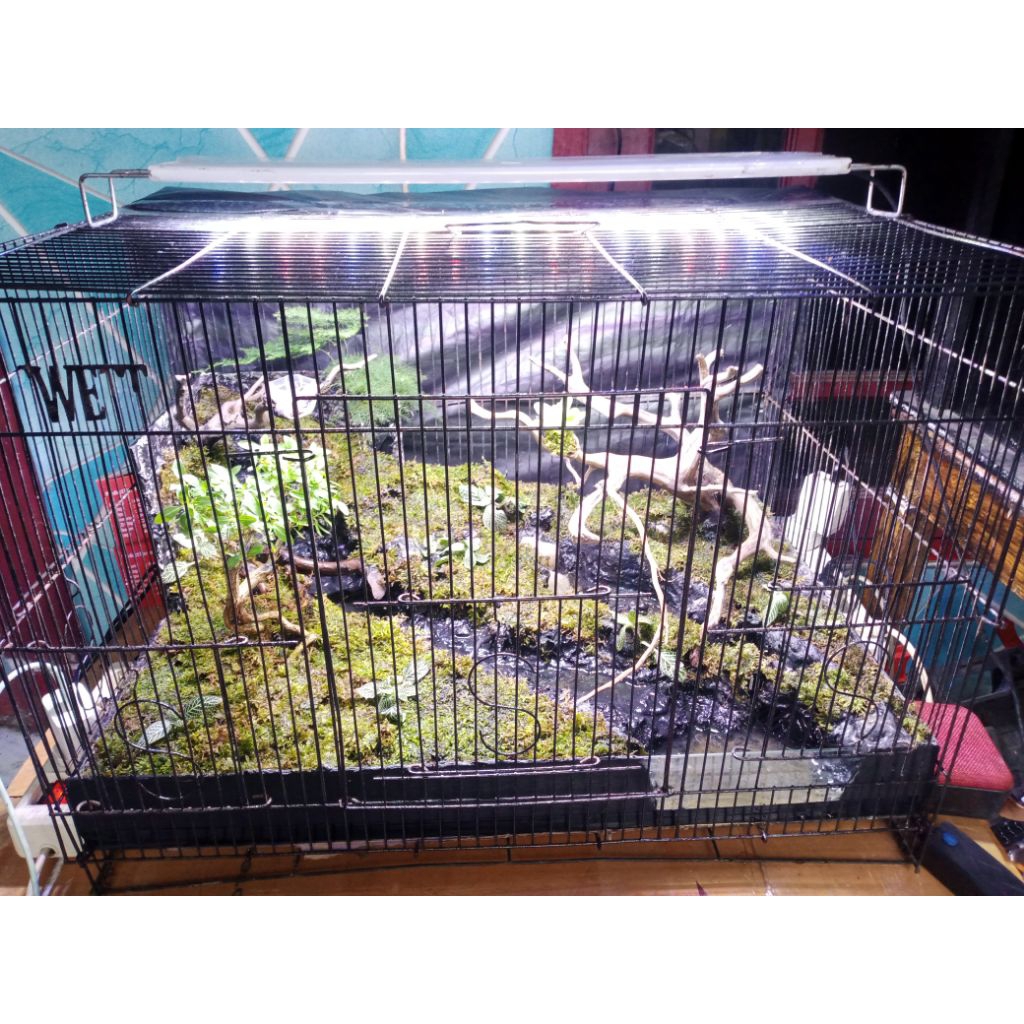 Mini Aviary kandang kotak