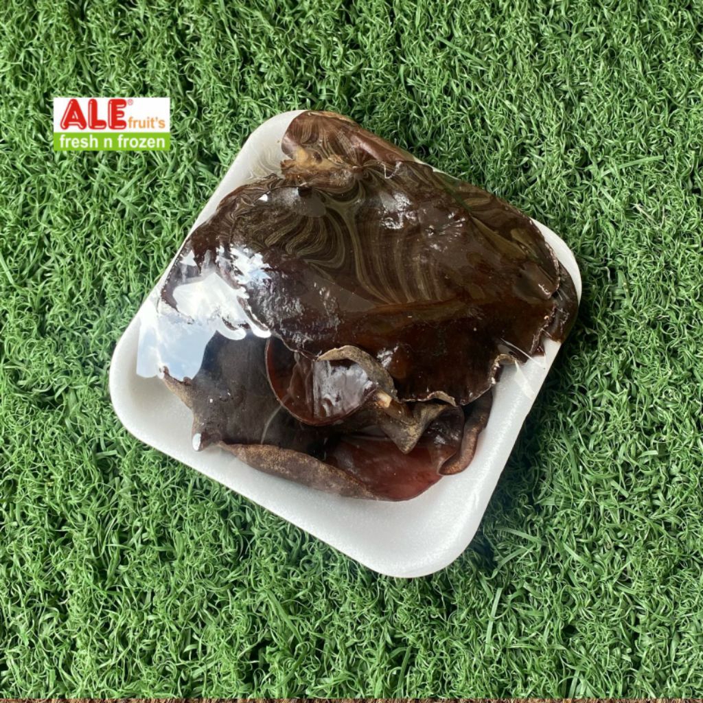 

Jamur kuping, jamur kuping hitam segar fresh,jamur kuping basah