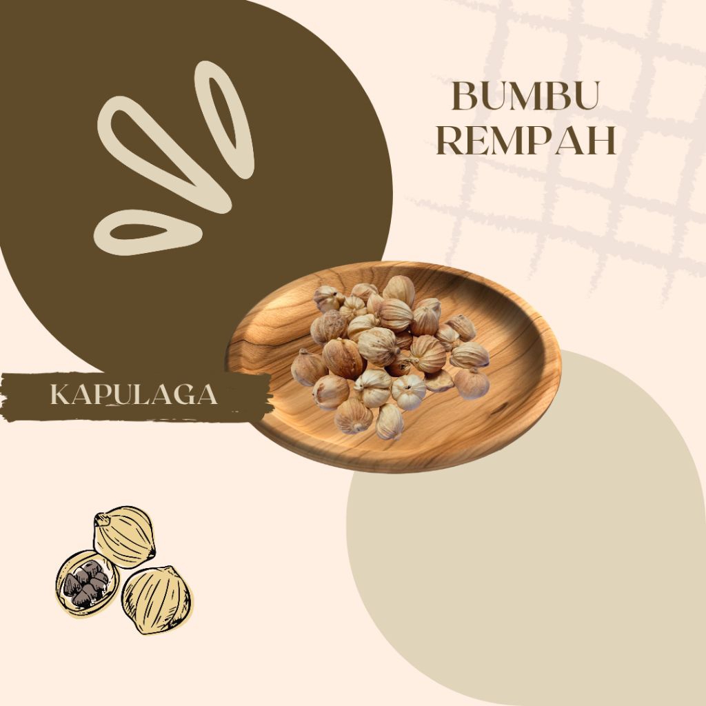 

KAPOLAGA KERING REMPAH & OBAT HERBAL