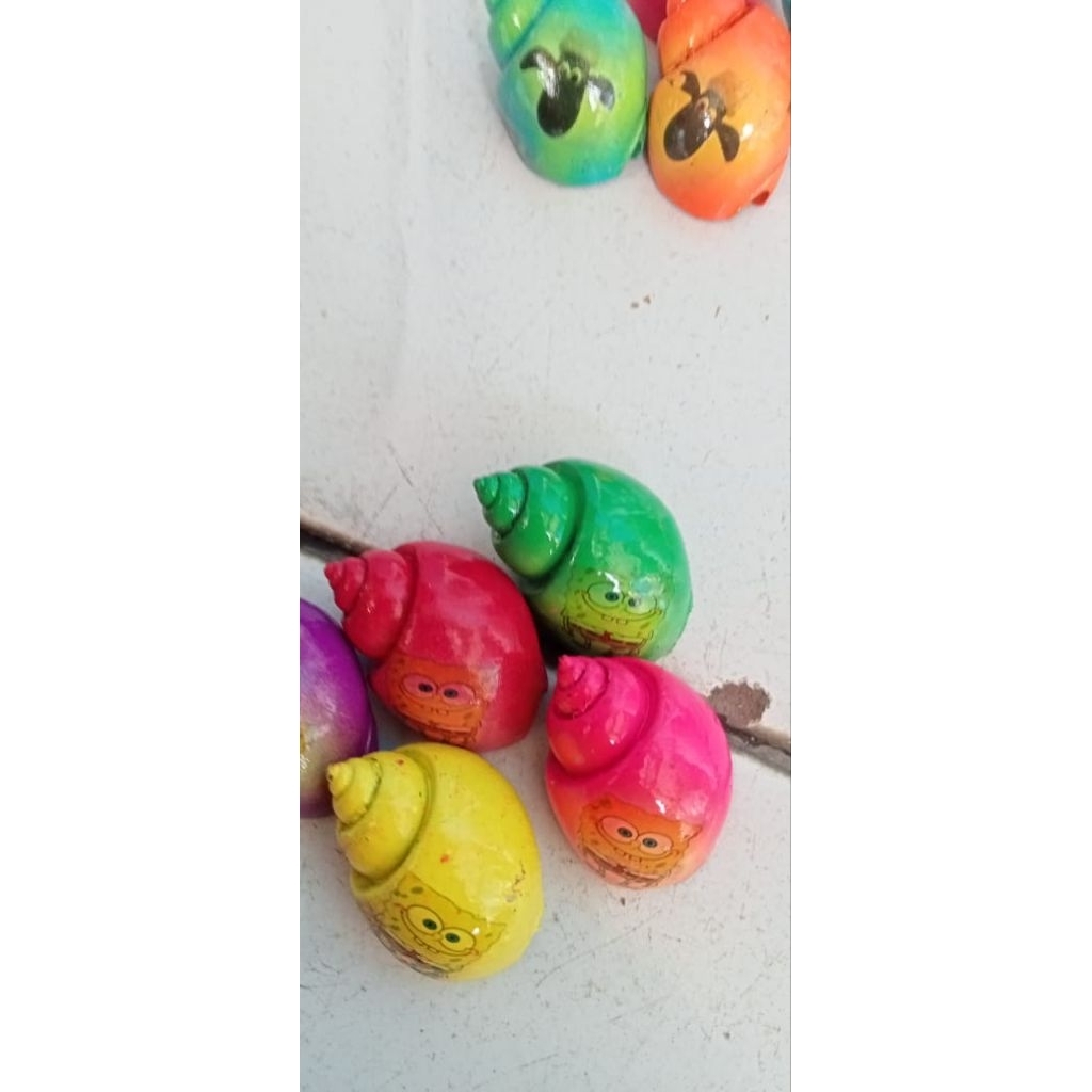 Kelomang/Keong Hidup 5 pcs