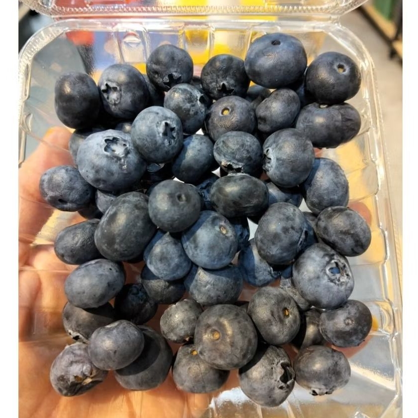 

Blueberries USA 1 pack - buah berry manis
