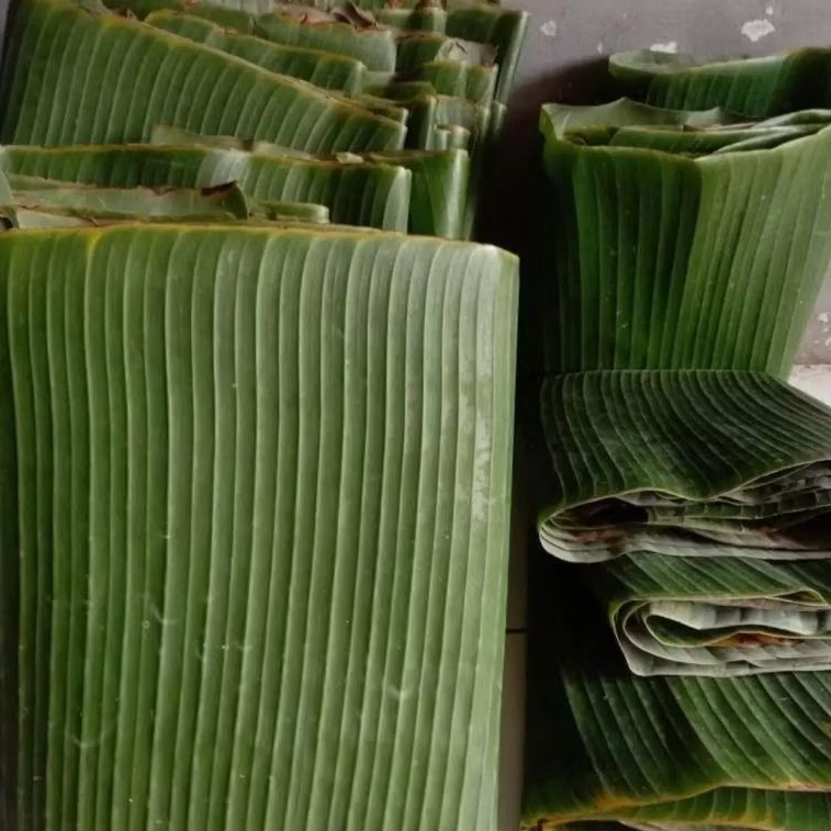 

Daun Pisang Segar – Bahan Masak / Serba 10K (1 kg)