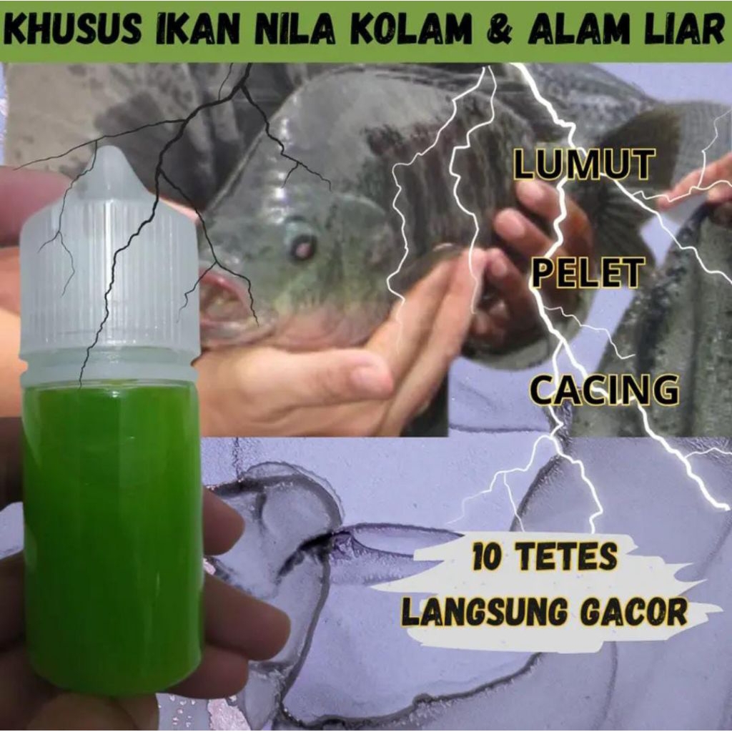 Essen Khusus Ikan Nila Liaran Dan Kolam Paling Manjur Essen Khusus Ikan Nila Media Lumut Cacing Band