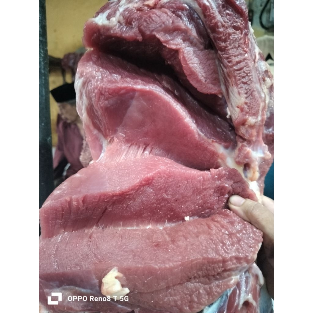 

Daging sapi segar 500 grm