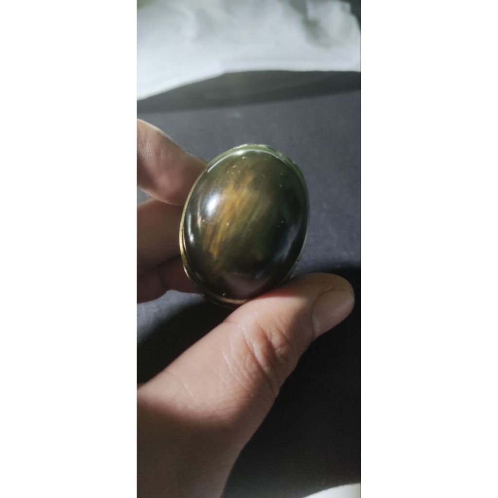 BATU FOSIL KELOR SERAT EMAS