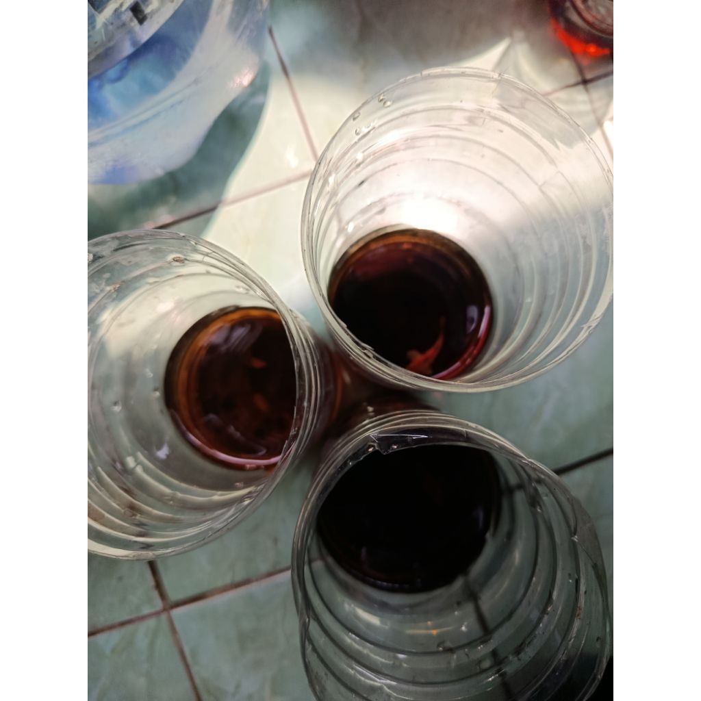 1 PAIR HMDE + 1 MALE HMDE BANG ANDREA