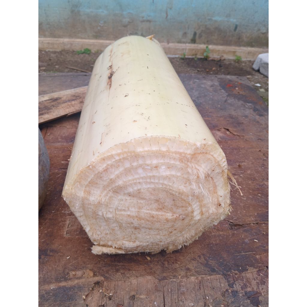 

gedebongpisan segar 1kg 4000