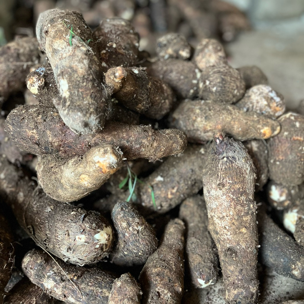 Talas Balitung | Mbote | Ubi Talas . 1Kg