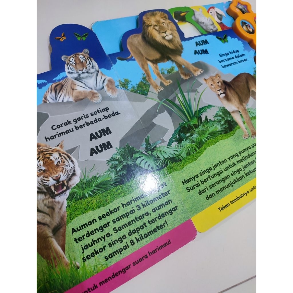 Kebun Binatang Hardcover Buku Cerita Sound