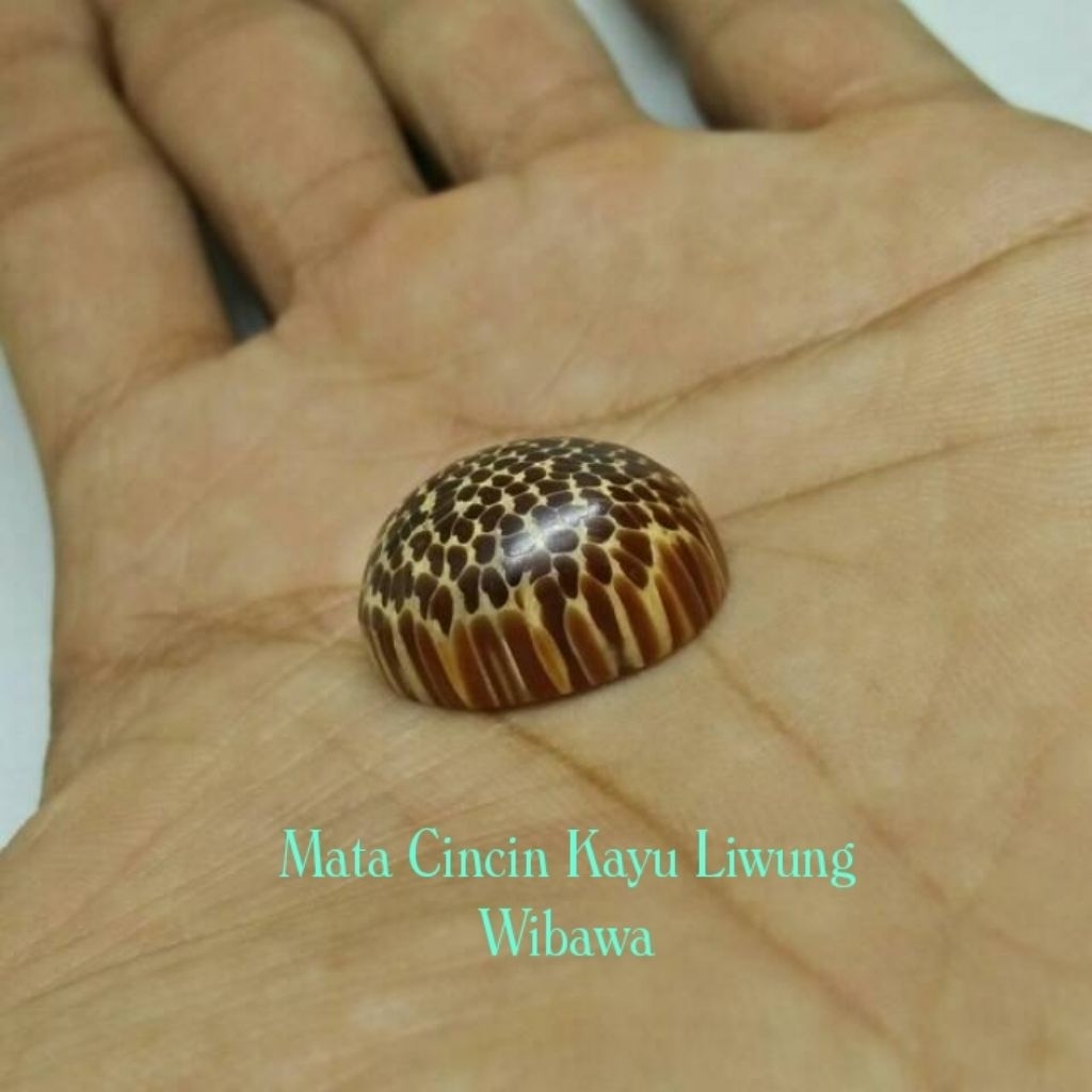 Mata Cincin Kayu Liwung