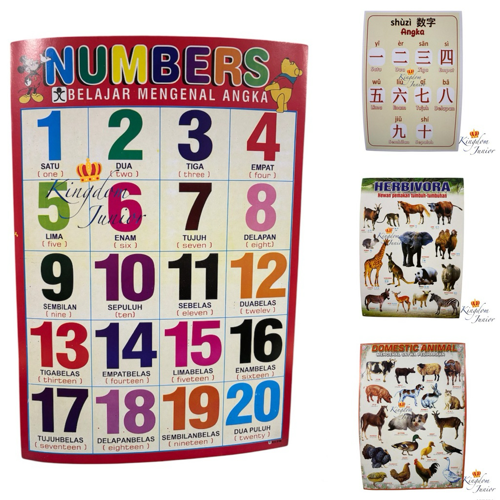 Poster Edukasi Anak Seri Umum | Poster Edukasi Anak Murah | Poster Angka | Poster Buah | Poster Hewa