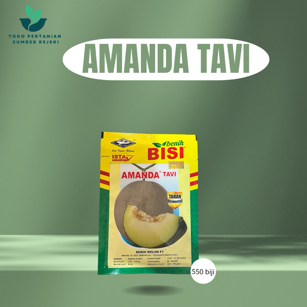 BENIH MELON AMANDA TAVI